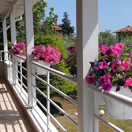 Tammy'S Garden House Villa Leptokarya  Dış mekan fotoğraf