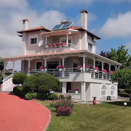 Tammy'S Garden House Villa Leptokarya  Dış mekan fotoğraf
