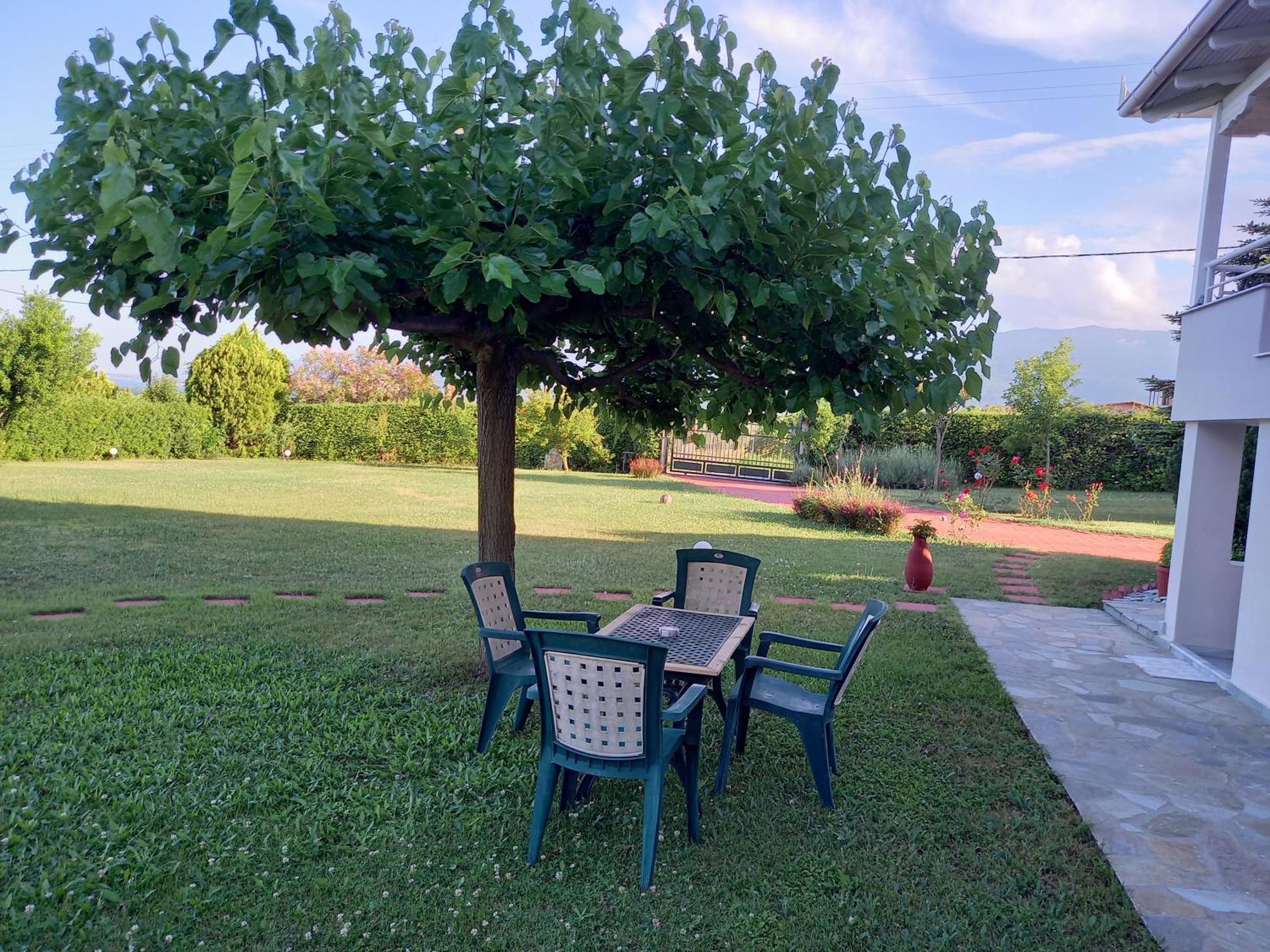Tammy'S Garden House Villa Leptokarya  Dış mekan fotoğraf