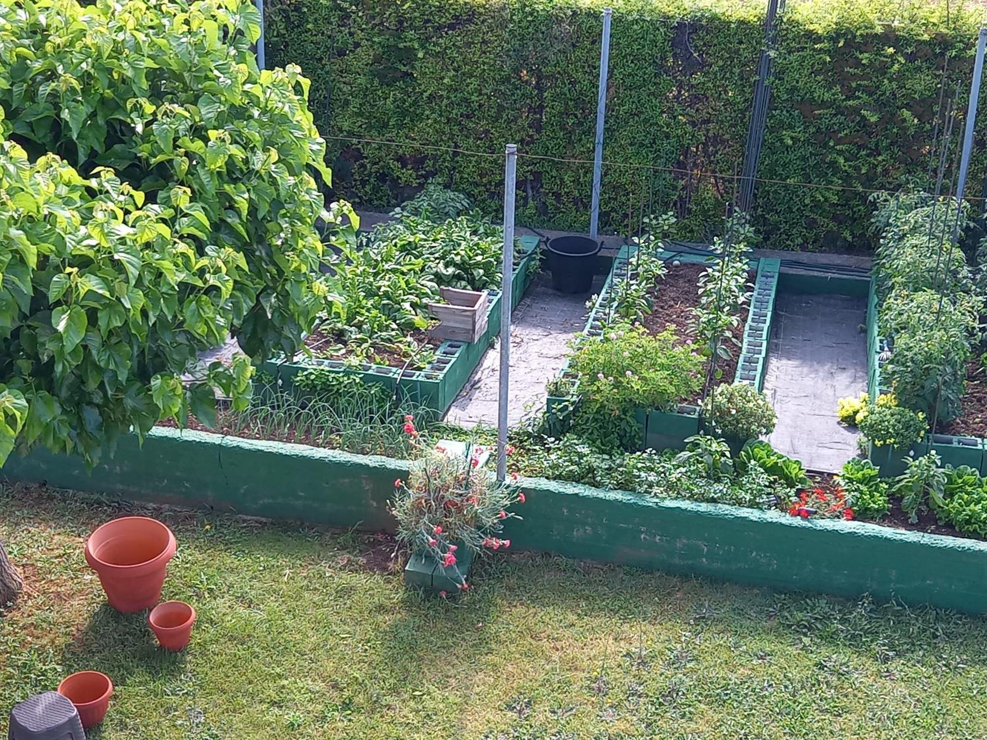 Tammy'S Garden House Villa Leptokarya  Dış mekan fotoğraf