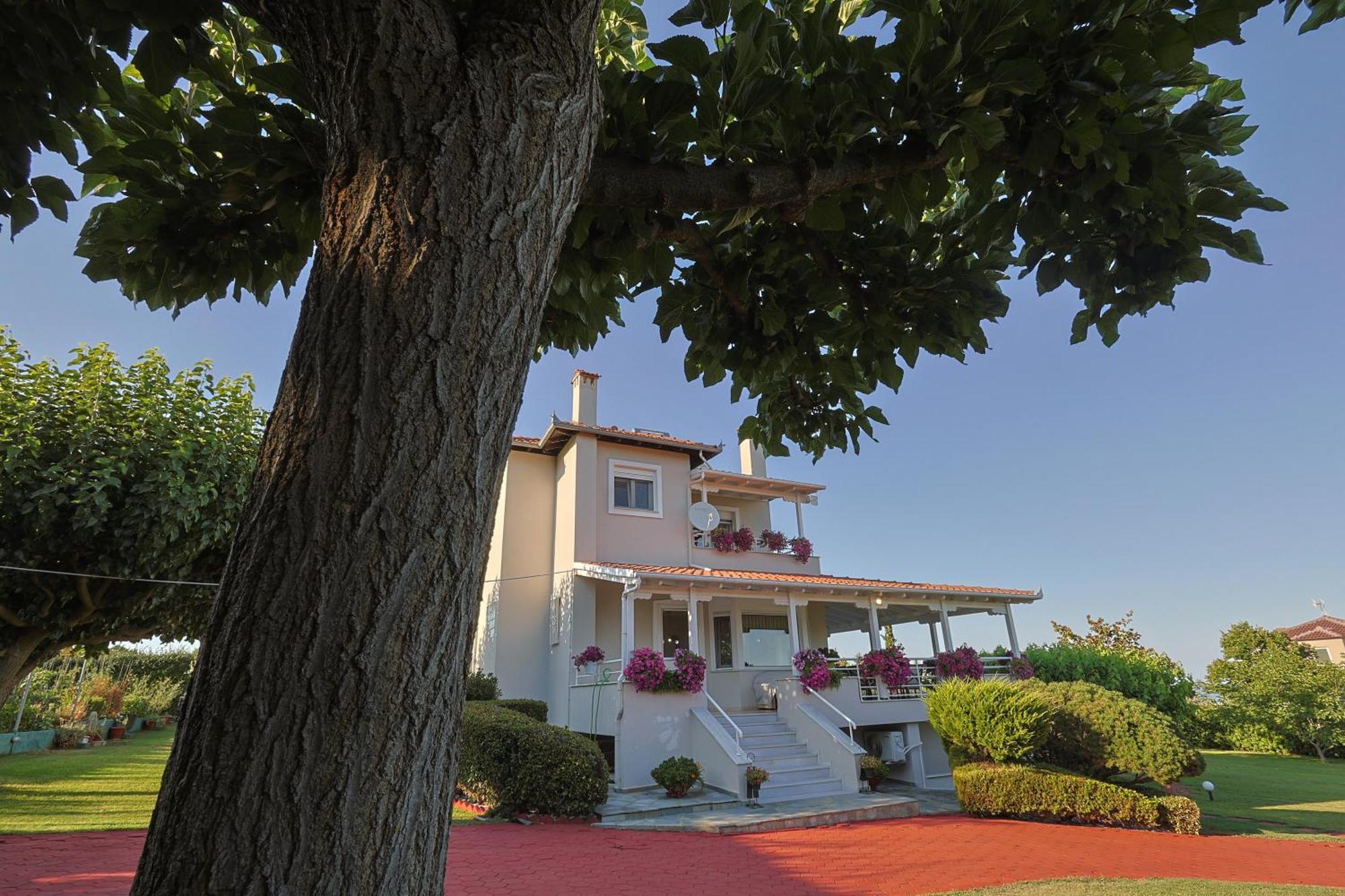 Tammy'S Garden House Villa Leptokarya  Dış mekan fotoğraf