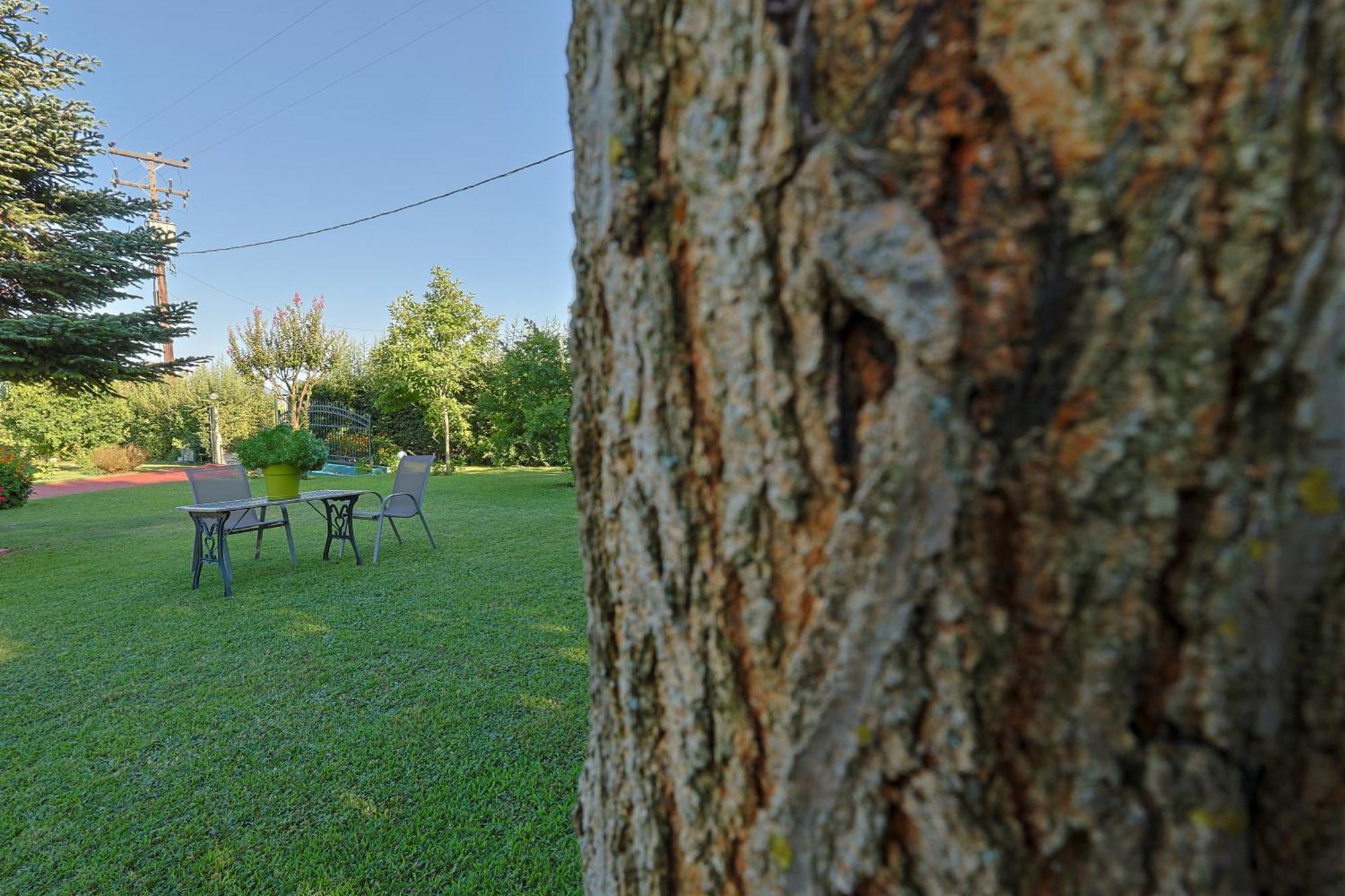Tammy'S Garden House Villa Leptokarya  Dış mekan fotoğraf