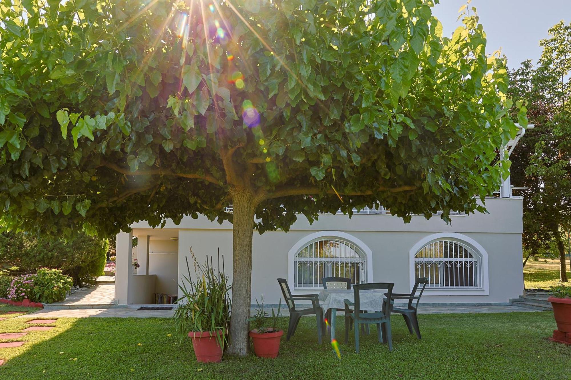 Tammy'S Garden House Villa Leptokarya  Dış mekan fotoğraf