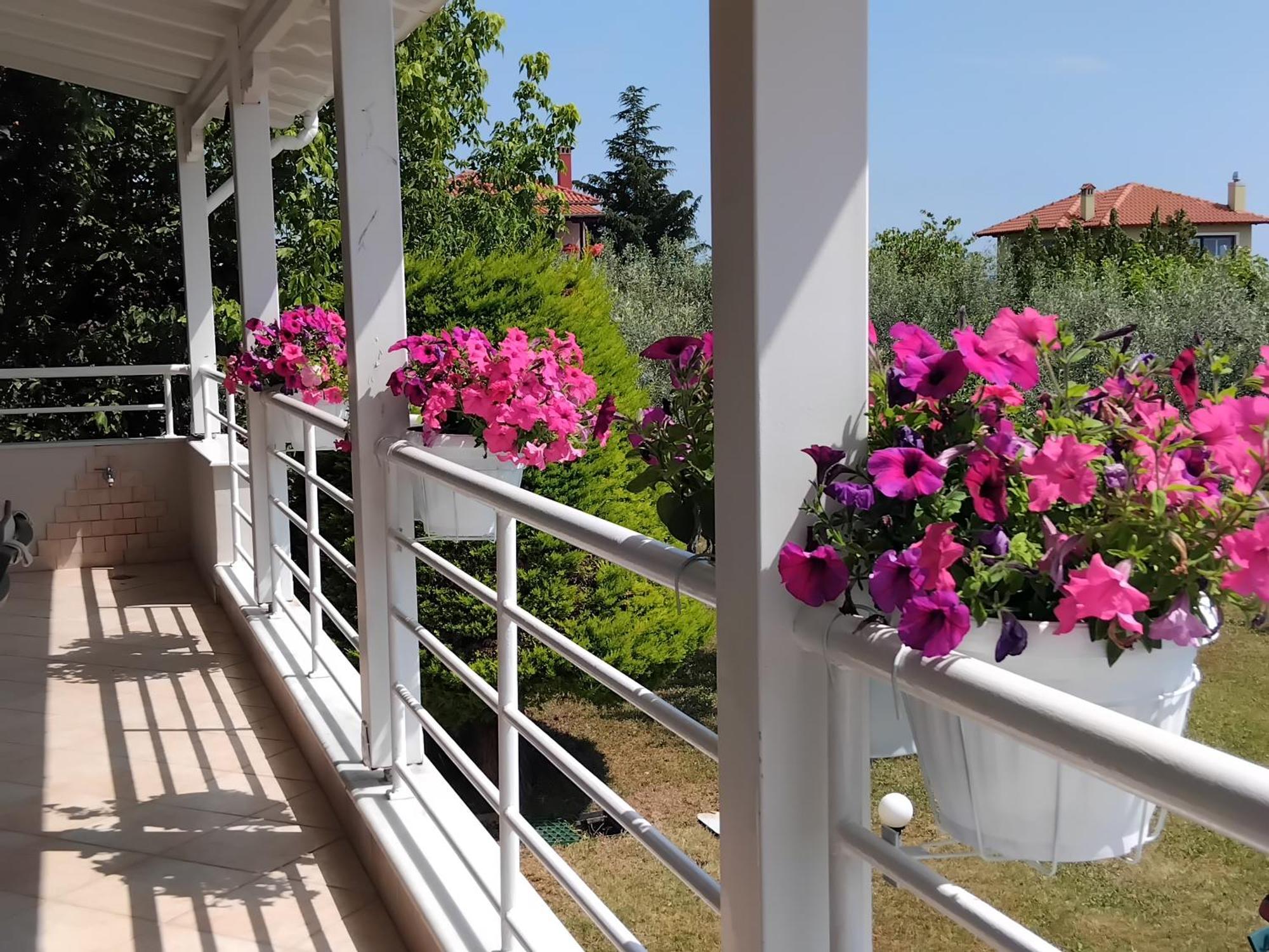 Tammy'S Garden House Villa Leptokarya  Dış mekan fotoğraf
