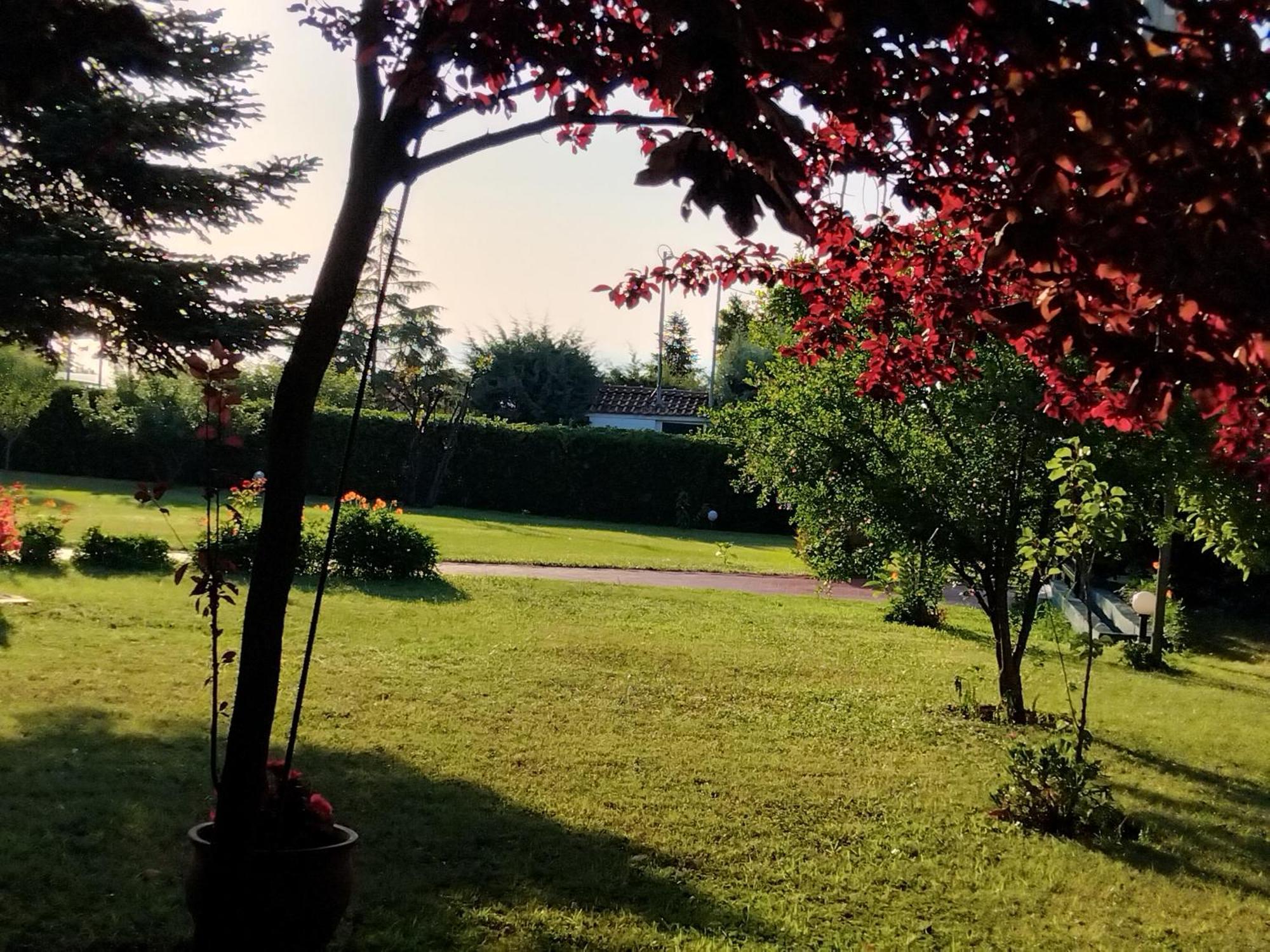 Tammy'S Garden House Villa Leptokarya  Dış mekan fotoğraf