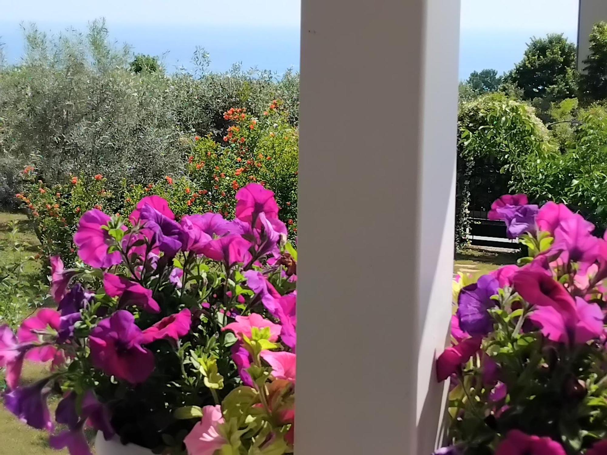 Tammy'S Garden House Villa Leptokarya  Dış mekan fotoğraf