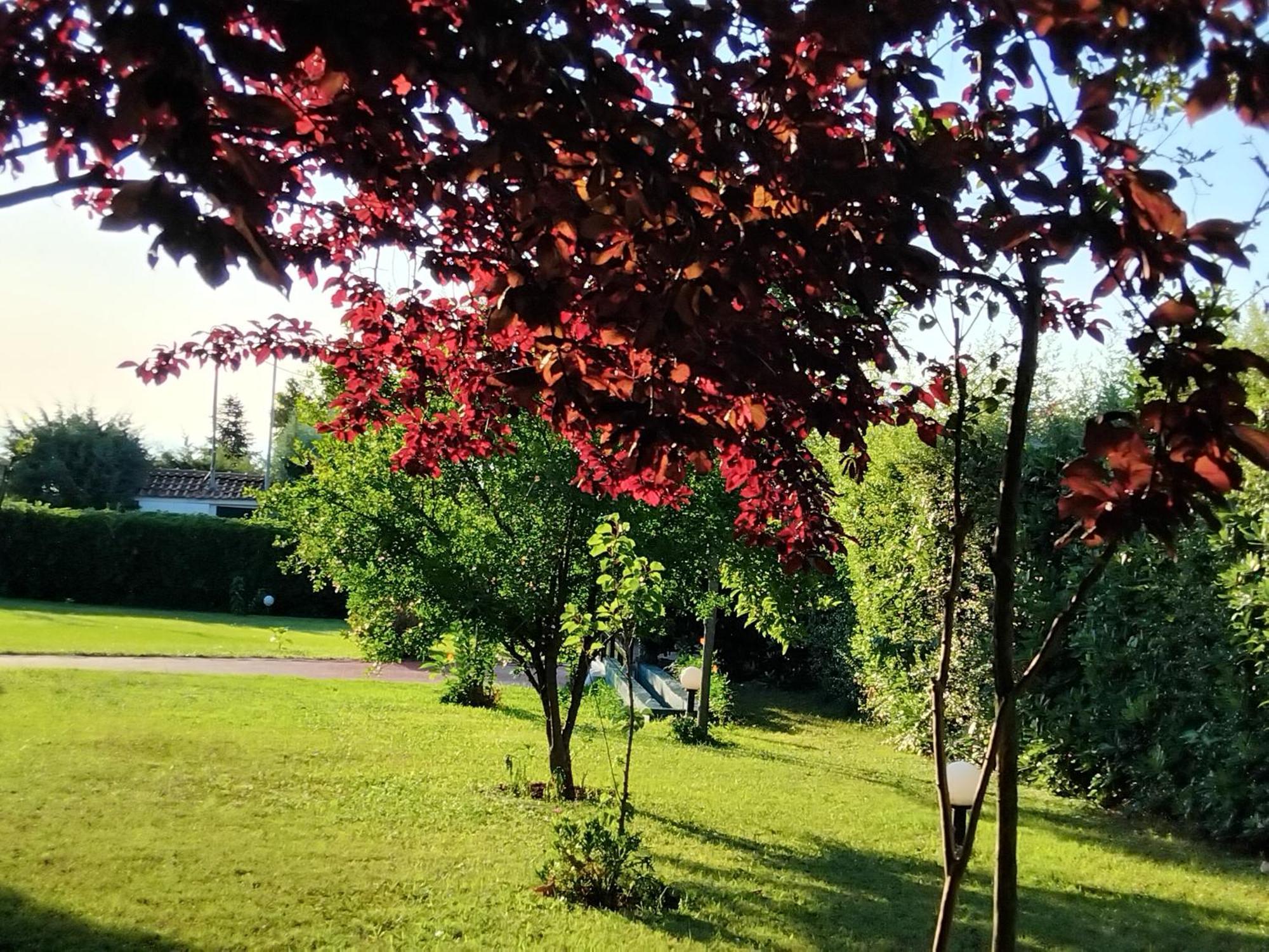 Tammy'S Garden House Villa Leptokarya  Dış mekan fotoğraf