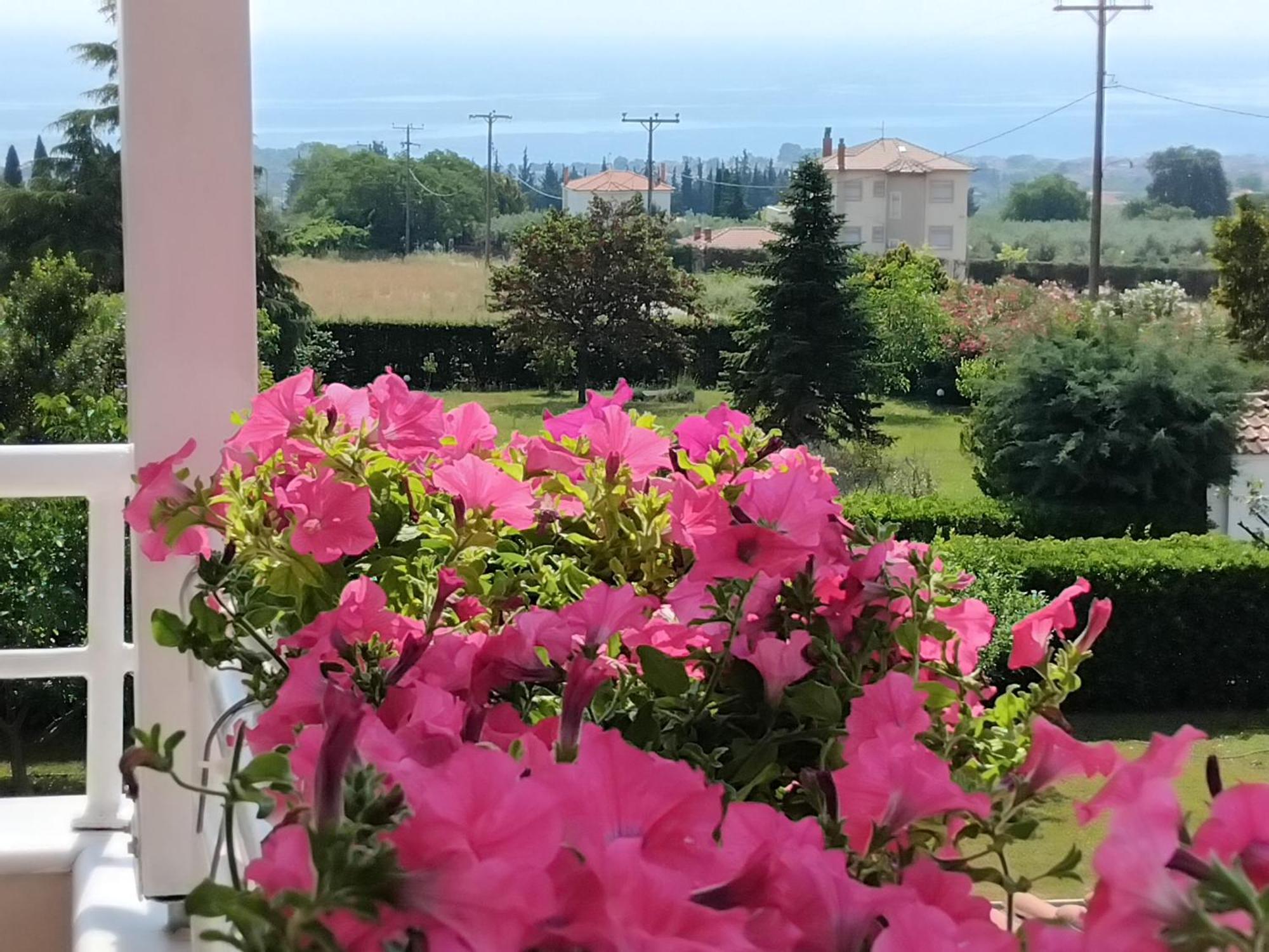 Tammy'S Garden House Villa Leptokarya  Dış mekan fotoğraf
