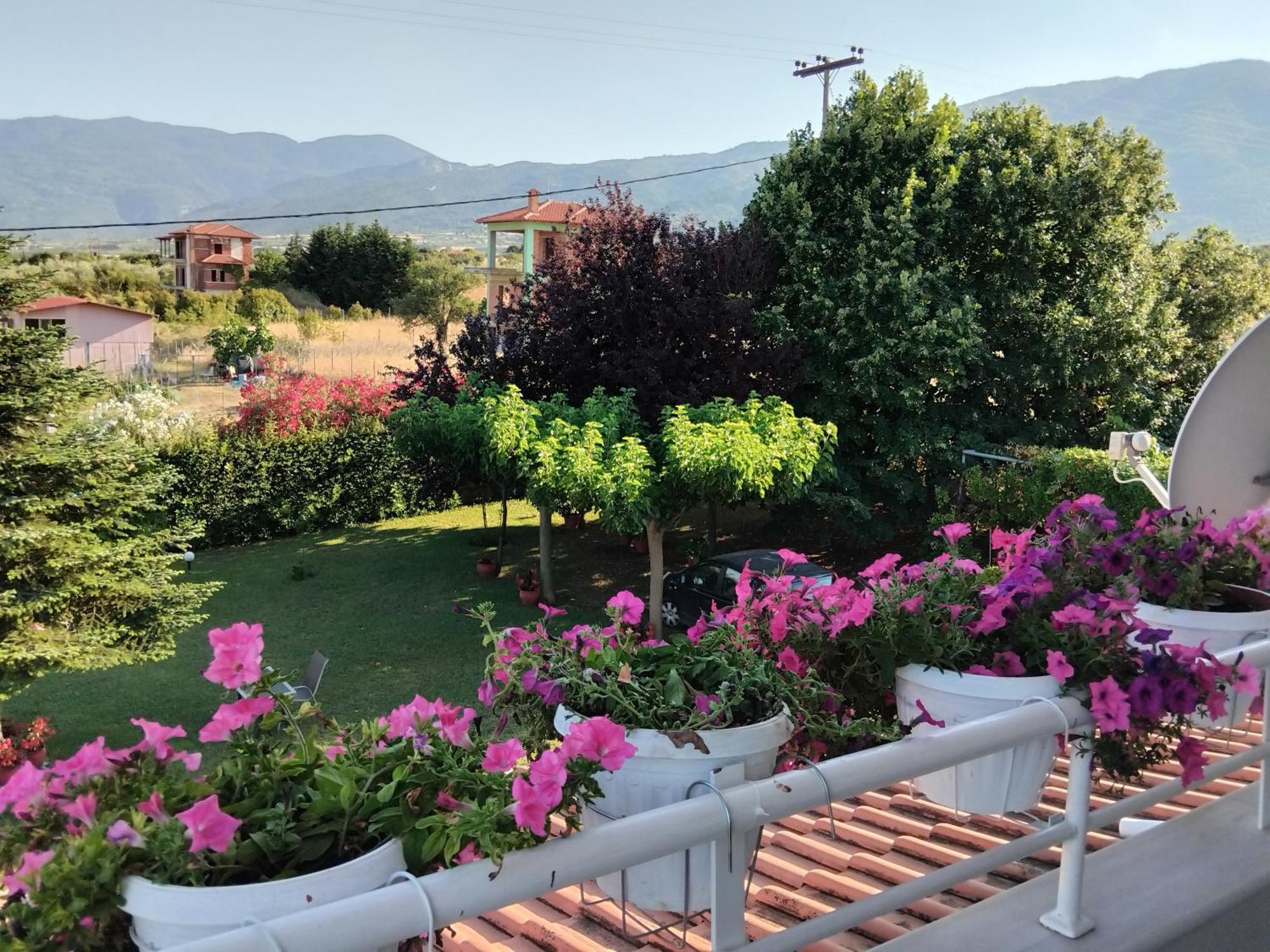 Tammy'S Garden House Villa Leptokarya  Dış mekan fotoğraf