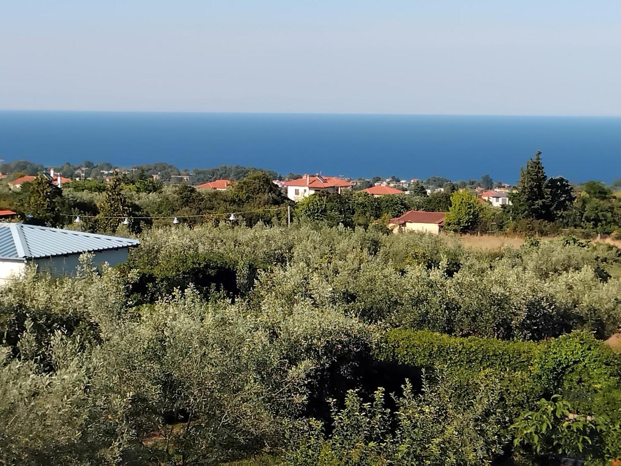 Tammy'S Garden House Villa Leptokarya  Dış mekan fotoğraf