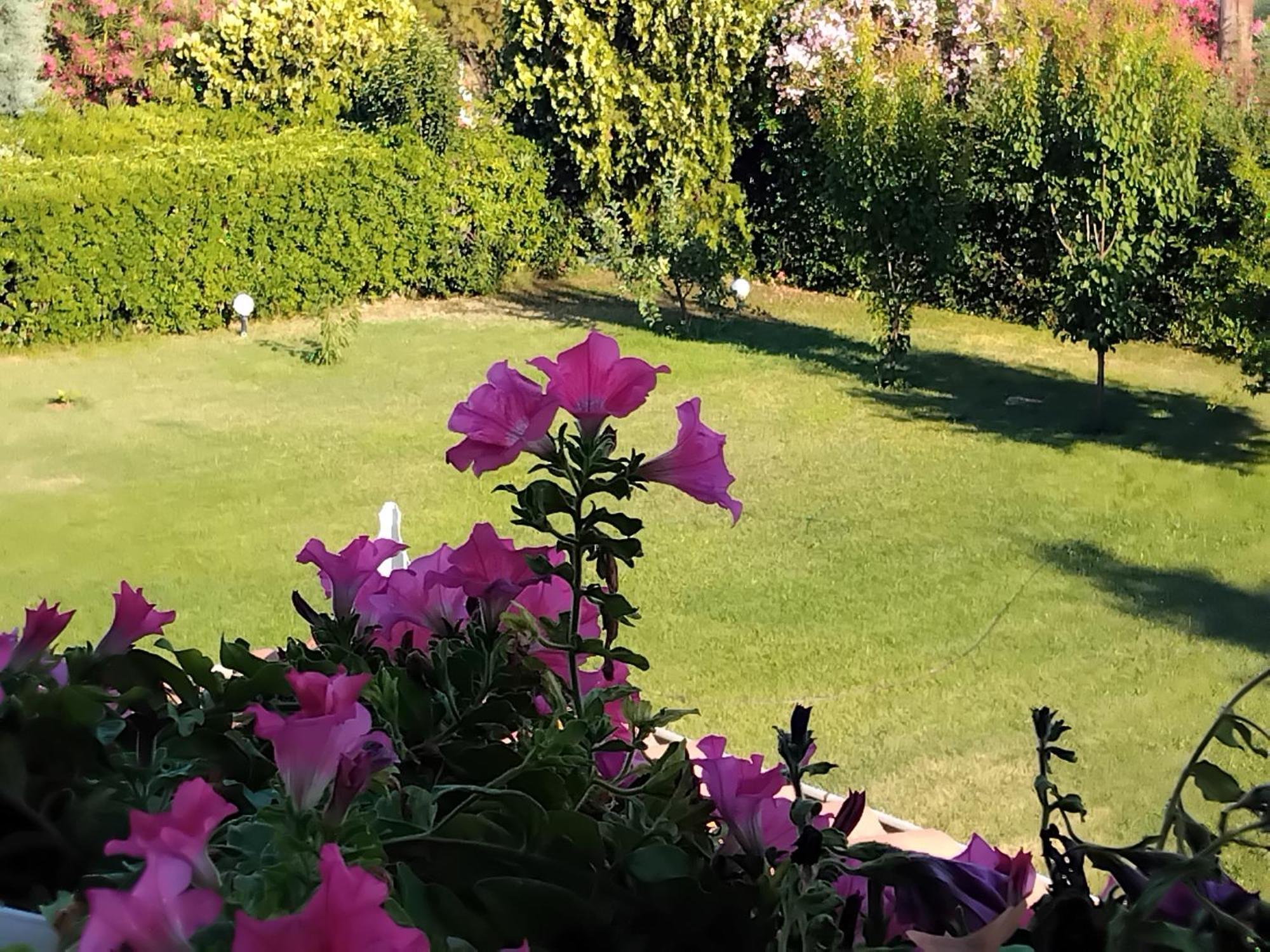 Tammy'S Garden House Villa Leptokarya  Dış mekan fotoğraf