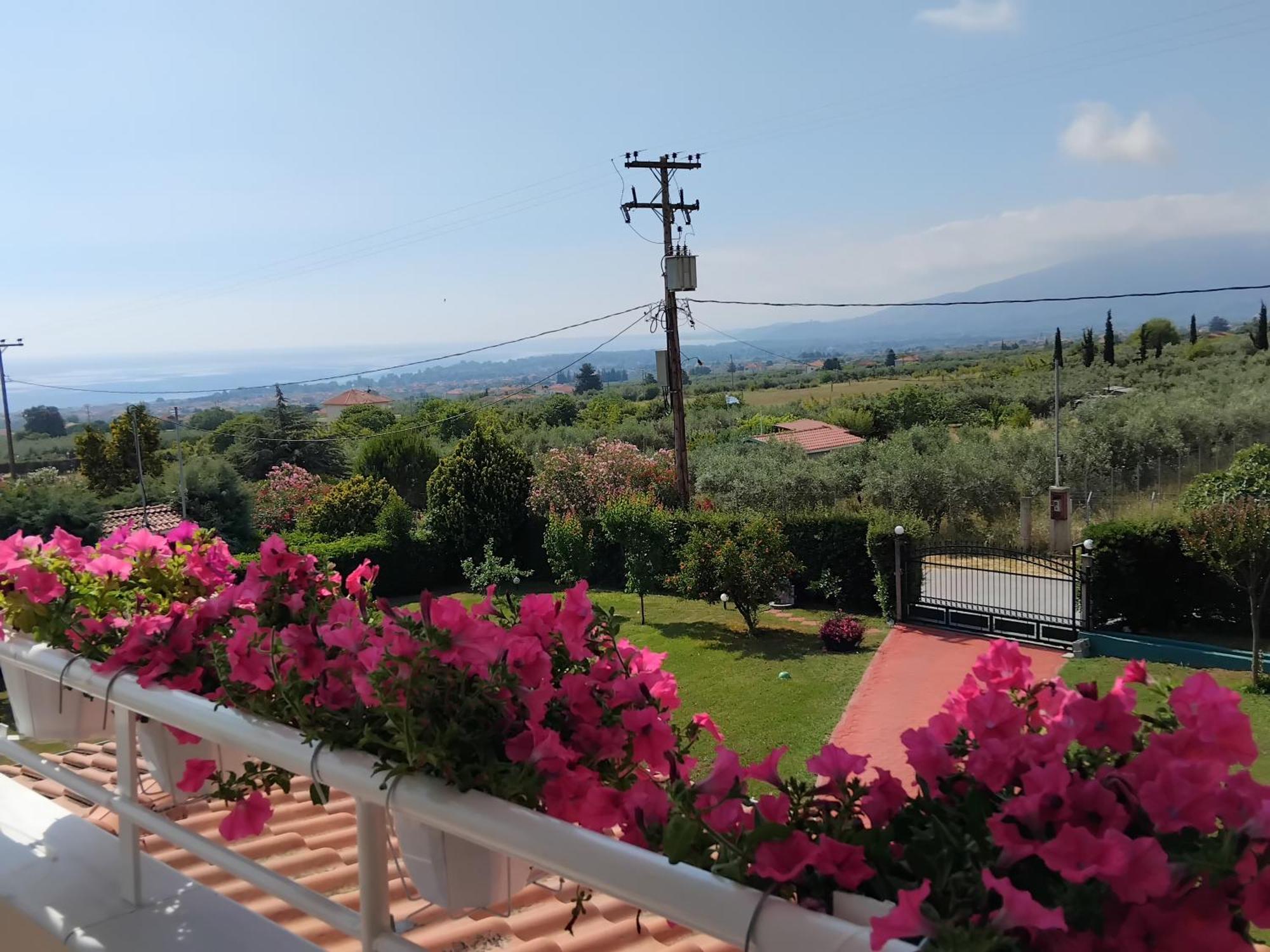 Tammy'S Garden House Villa Leptokarya  Dış mekan fotoğraf