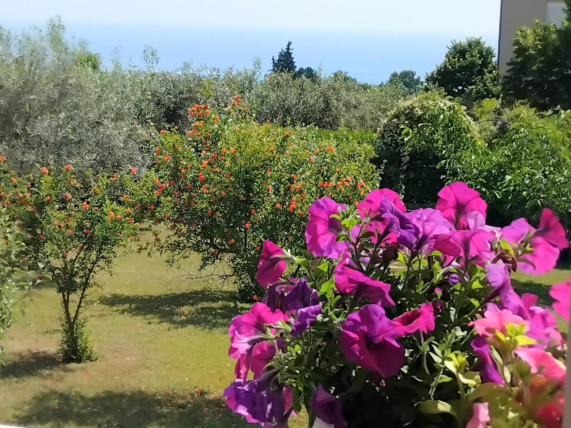 Tammy'S Garden House Villa Leptokarya  Dış mekan fotoğraf