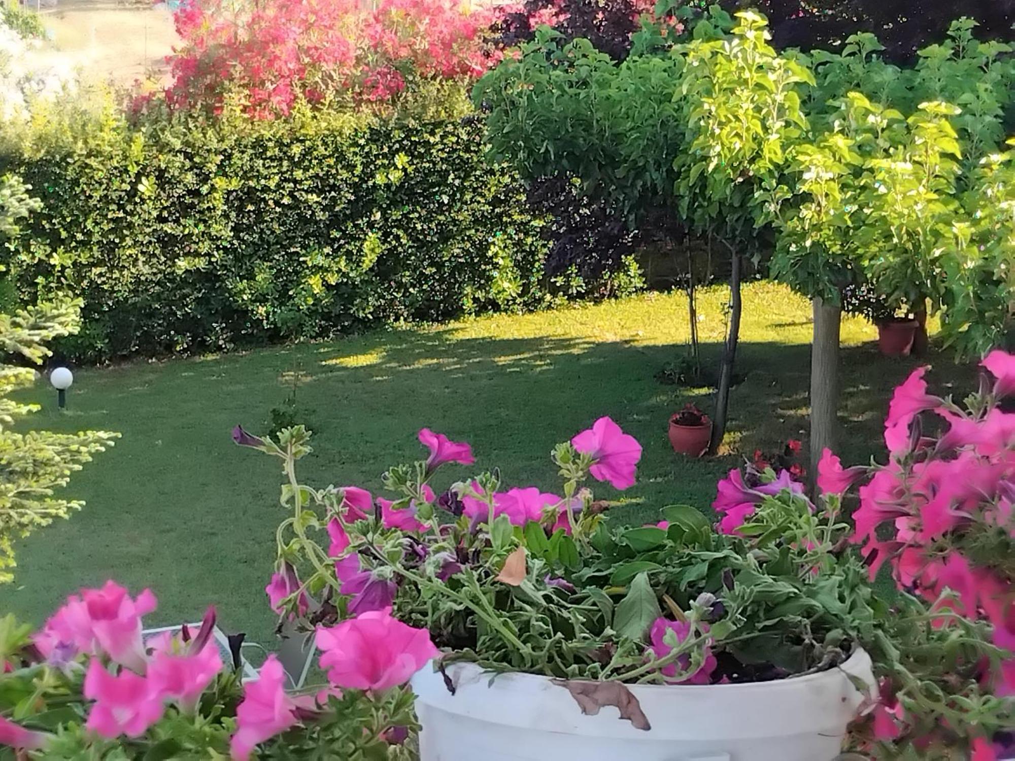 Tammy'S Garden House Villa Leptokarya  Dış mekan fotoğraf