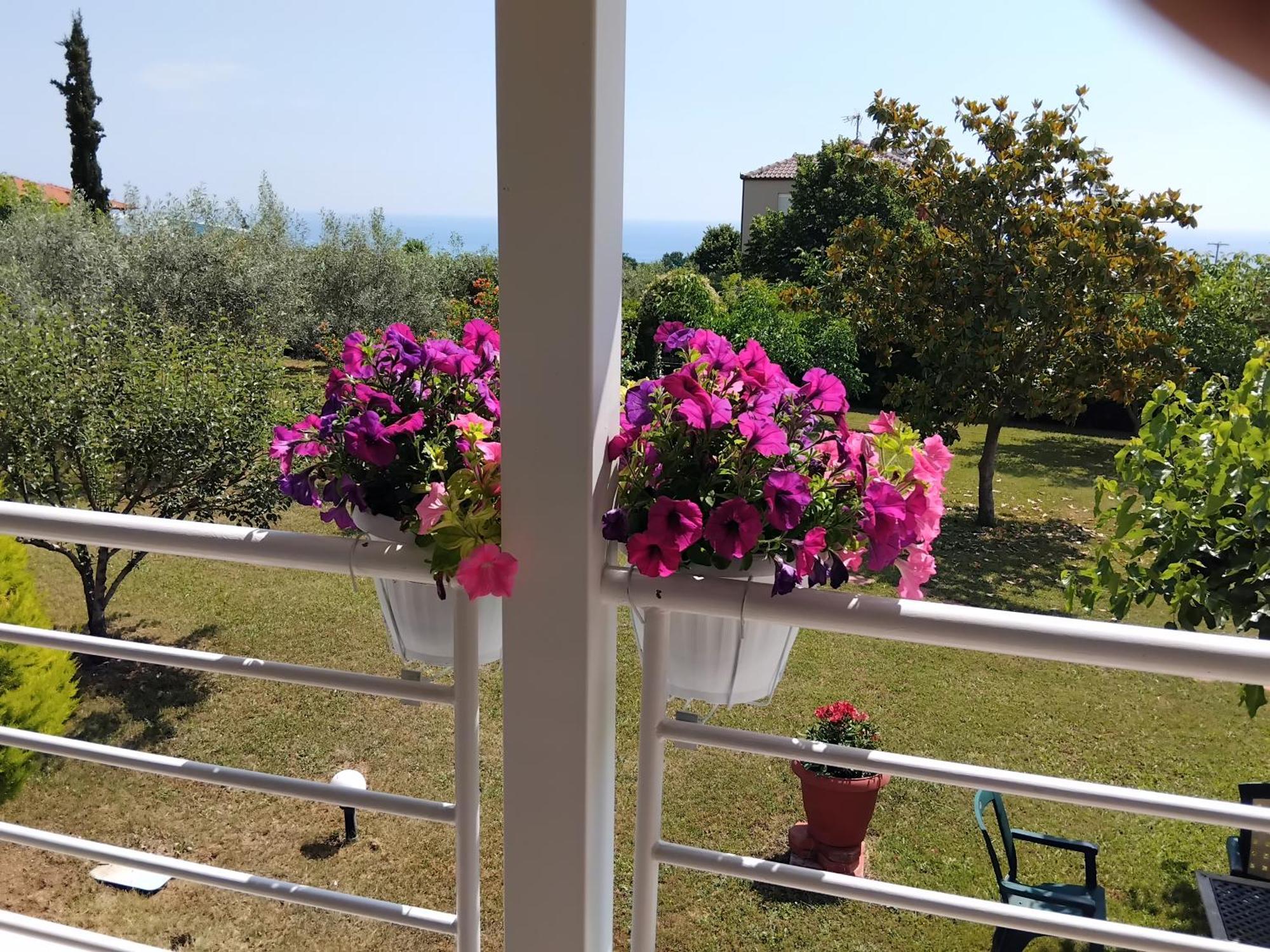 Tammy'S Garden House Villa Leptokarya  Dış mekan fotoğraf