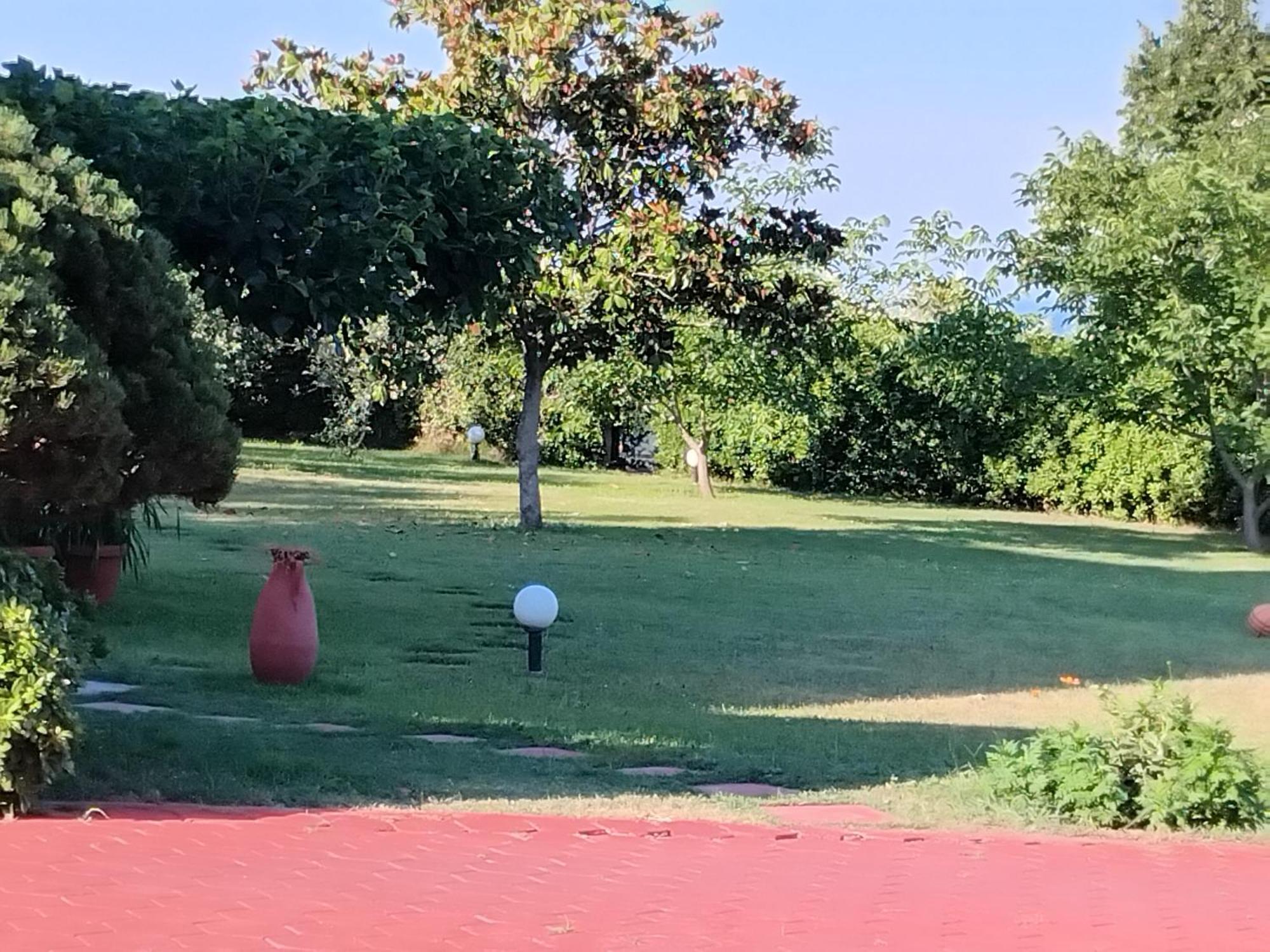 Tammy'S Garden House Villa Leptokarya  Dış mekan fotoğraf