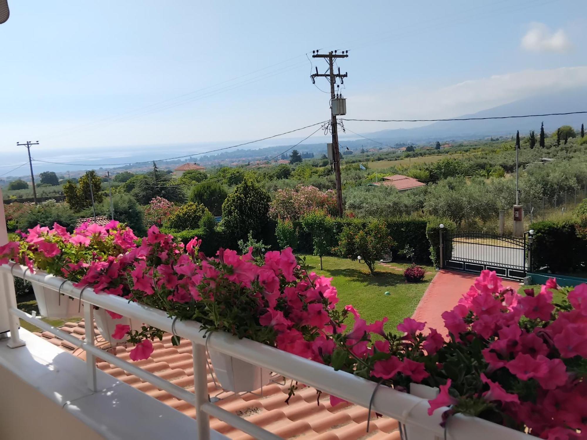 Tammy'S Garden House Villa Leptokarya  Dış mekan fotoğraf