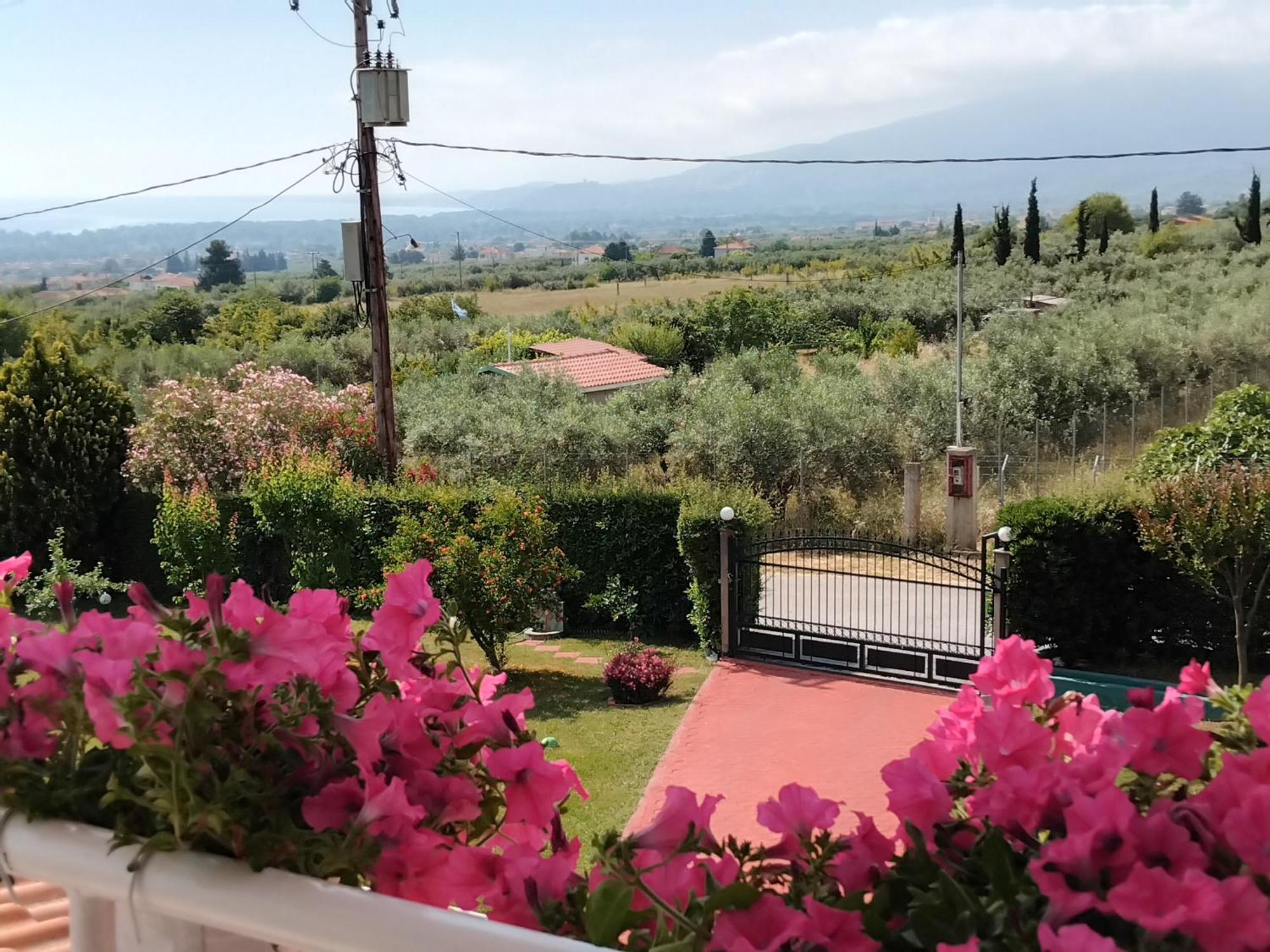 Tammy'S Garden House Villa Leptokarya  Dış mekan fotoğraf