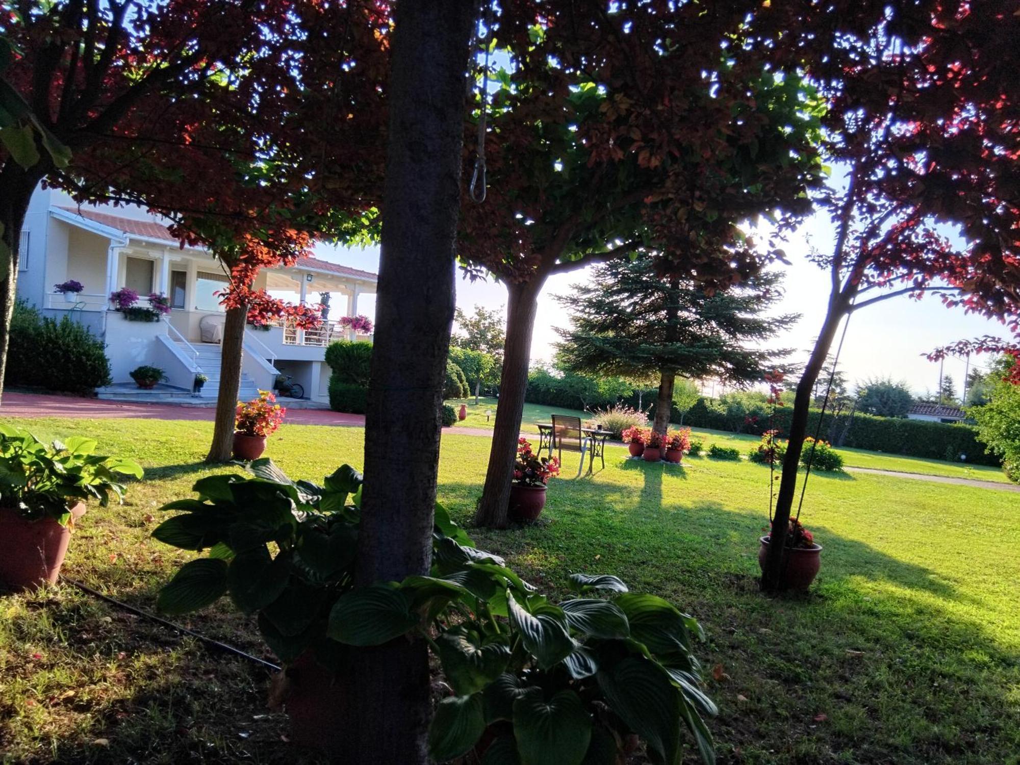 Tammy'S Garden House Villa Leptokarya  Dış mekan fotoğraf