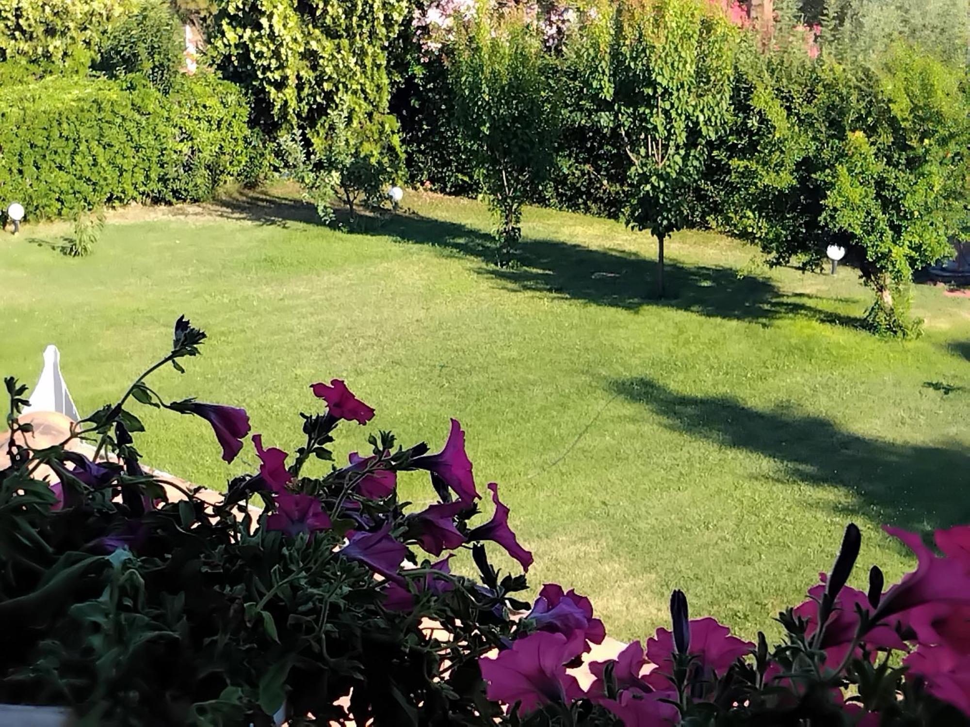Tammy'S Garden House Villa Leptokarya  Dış mekan fotoğraf