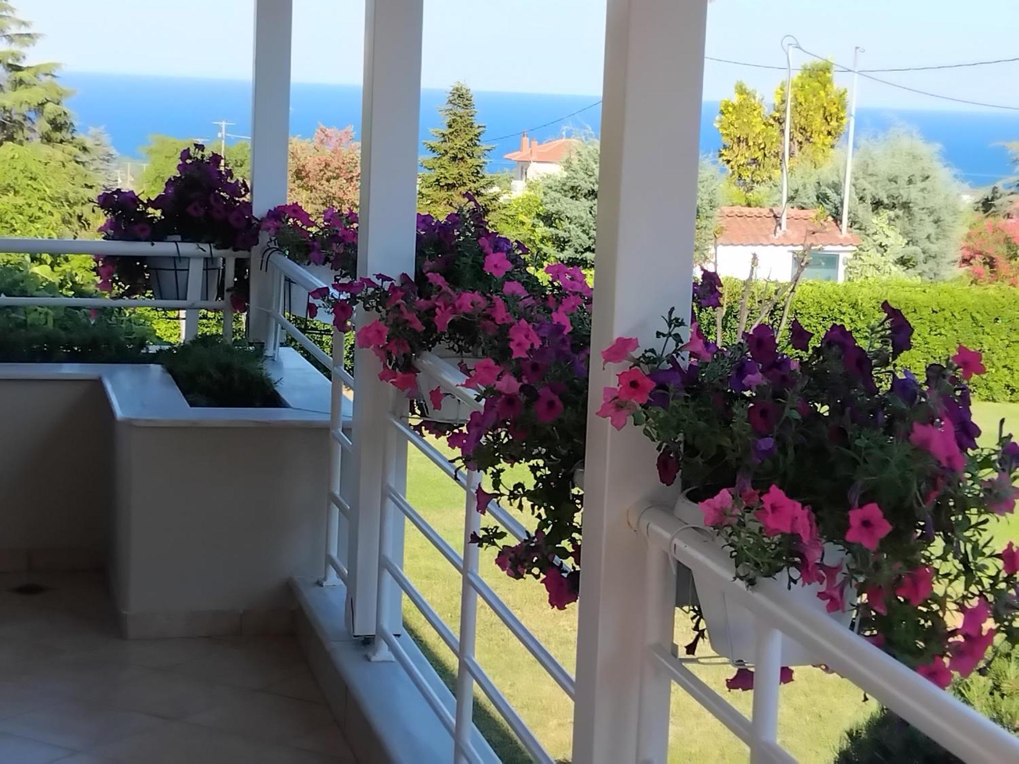 Tammy'S Garden House Villa Leptokarya  Dış mekan fotoğraf