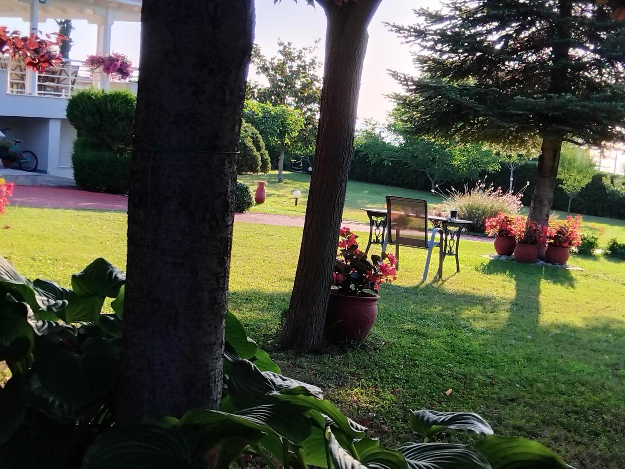 Tammy'S Garden House Villa Leptokarya  Dış mekan fotoğraf