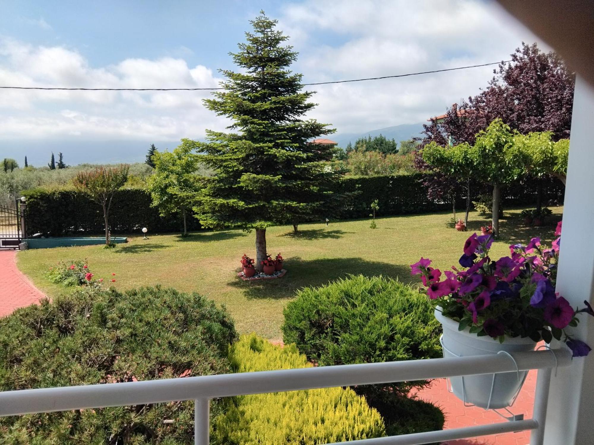 Tammy'S Garden House Villa Leptokarya  Dış mekan fotoğraf